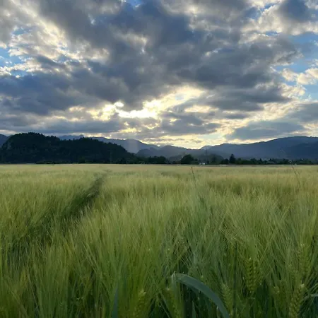 Bubbly Appartement *