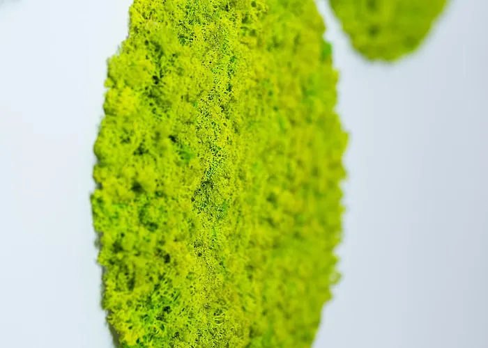 Bubbly アパート *