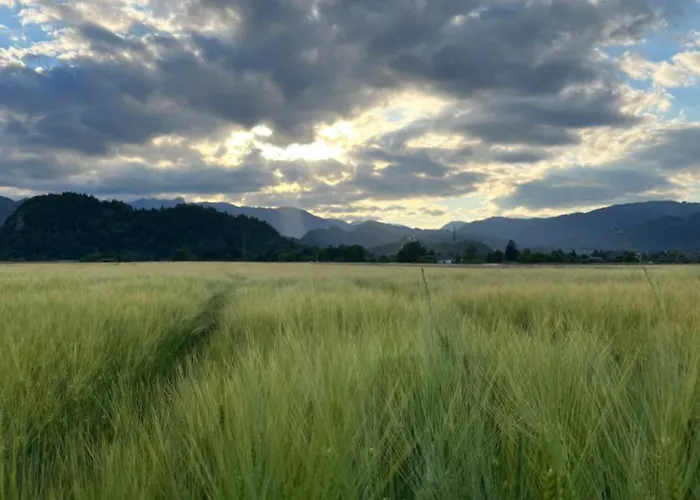 Bubbly アパート *