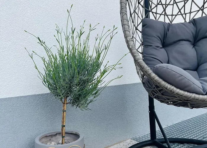 アパート Bubbly ブレッド